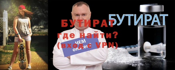 индика Алексин