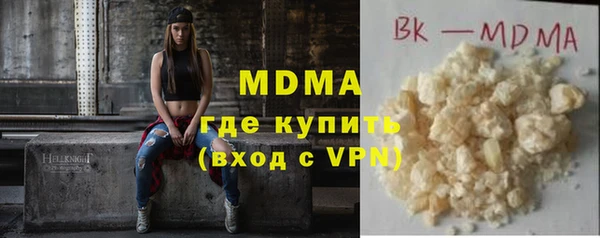 индика Алексин