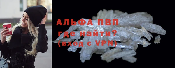индика Алексин