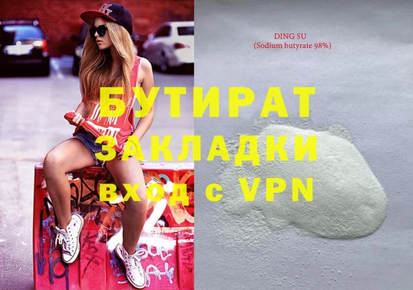 индика Алексин