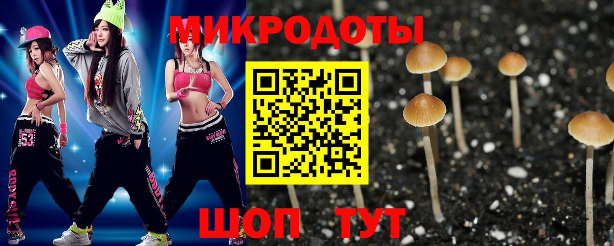Псилоцибиновые грибы ЛСД  Вход с VPN  Галлюциногенные грибы ЛСД  Тында 