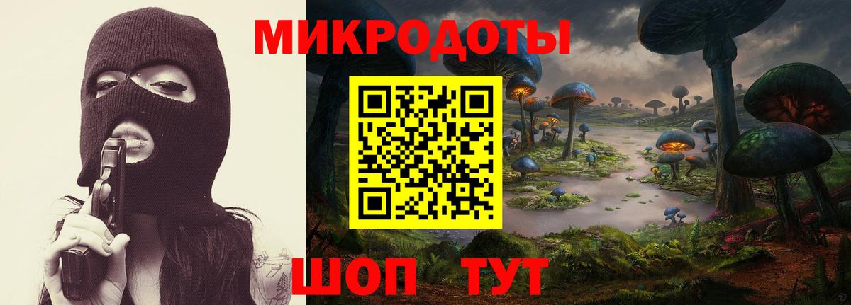 Псилоцибиновые грибы Psilocybine cubensis Тында