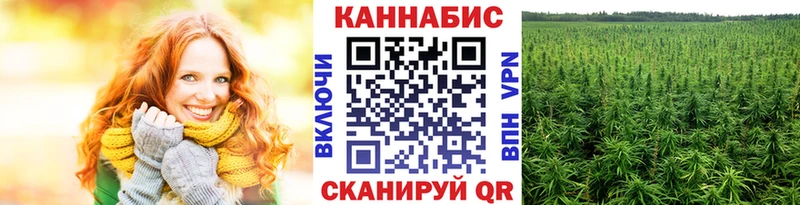 Бошки марихуана Amnesia  купить наркоту  Тында 